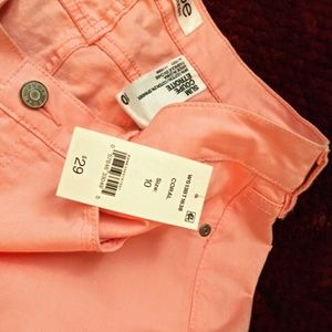 Joe coral skinney pants